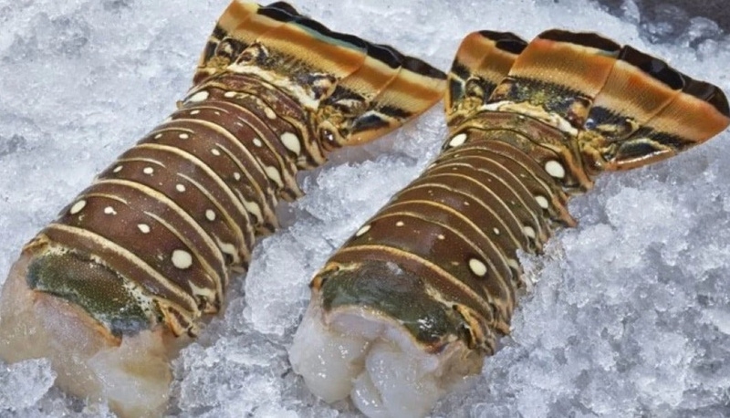 Holy Crab Six 6oz Florida Lobster Tails